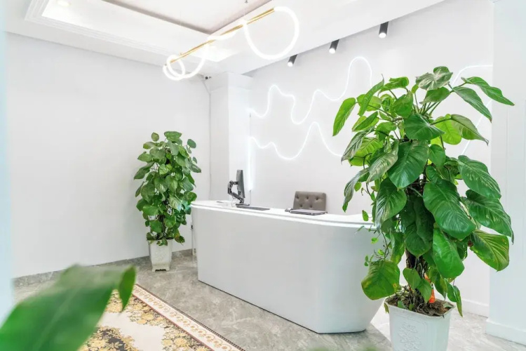 MaMa Hotel And Apartment