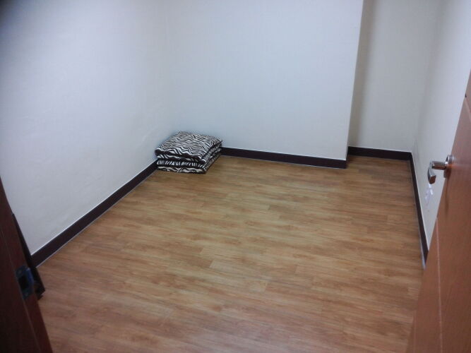 Sejong Spatel Over view