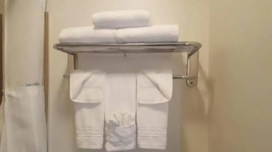 Clarion Suites Inn