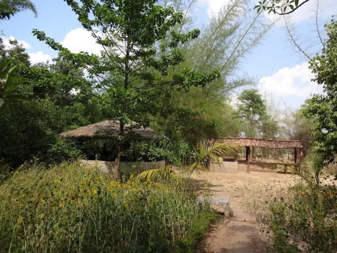 WelcomHeritage Bandhavgarh Jungle Lodge
