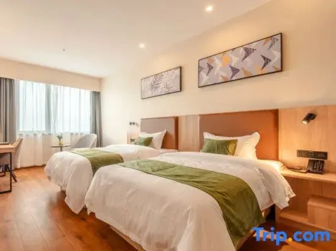 Standard Twin room with view
