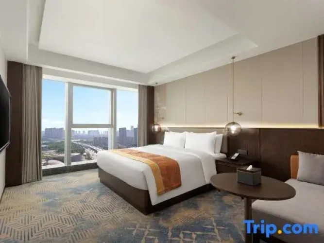 Comfort Suite