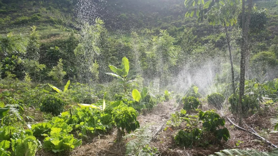 Sitio Monte Alegre
