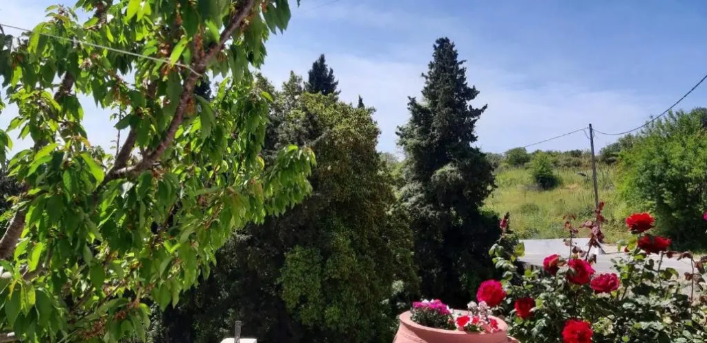 Green View Apartment