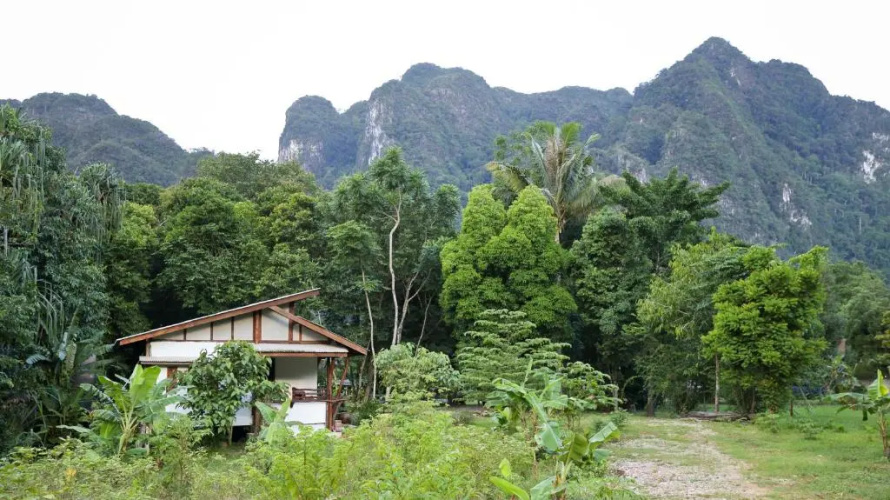 Khao Sok Homestay Resort