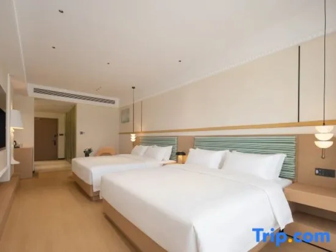 Standard Sextuple Family room