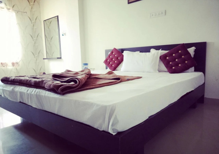 Hotel Amrit Mahal Udaipur
