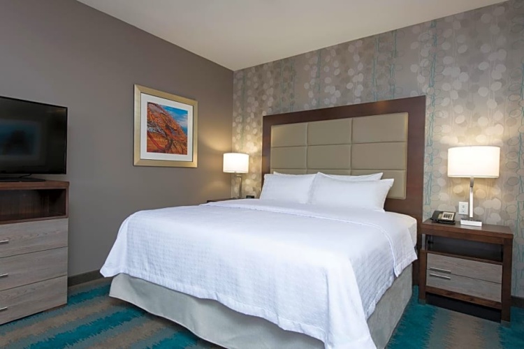 1 Bedroom Suite