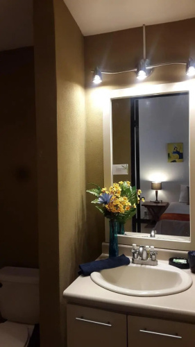 Hotel La Palapa