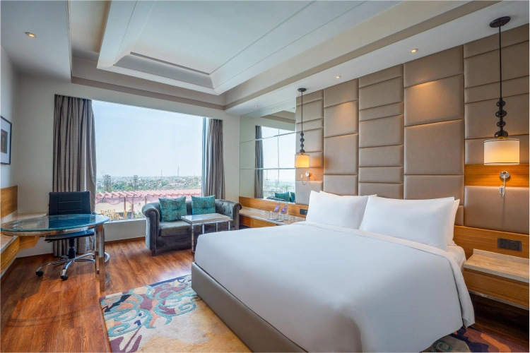 Deluxe Single room