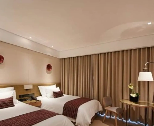 Superior Twin room with city view