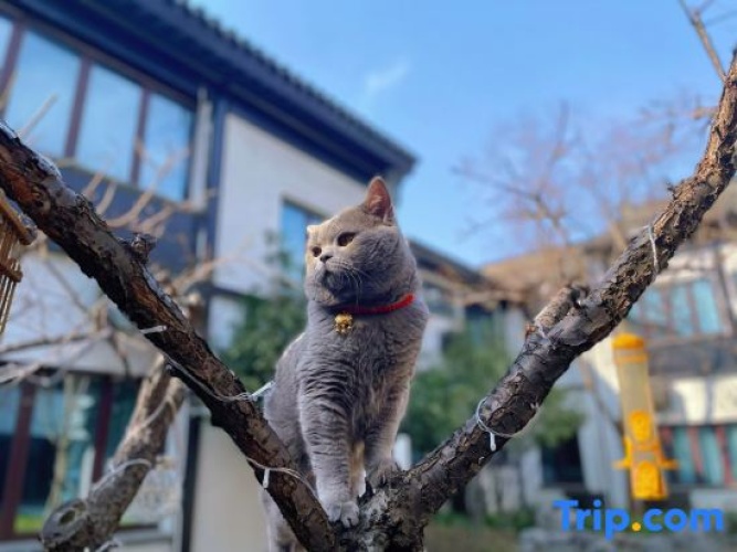 Outside