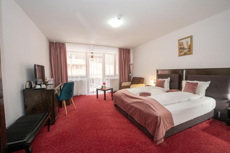 Standard Twin room with balcony and with land view