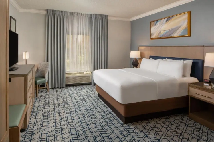 Deluxe Double room