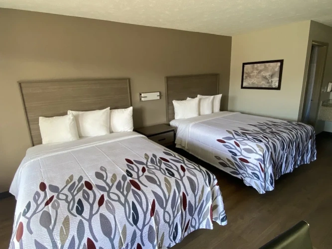 Deluxe Quadruple room