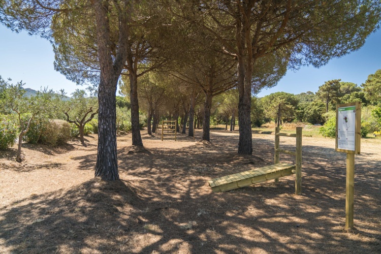 Hotel Fabricia photo 41