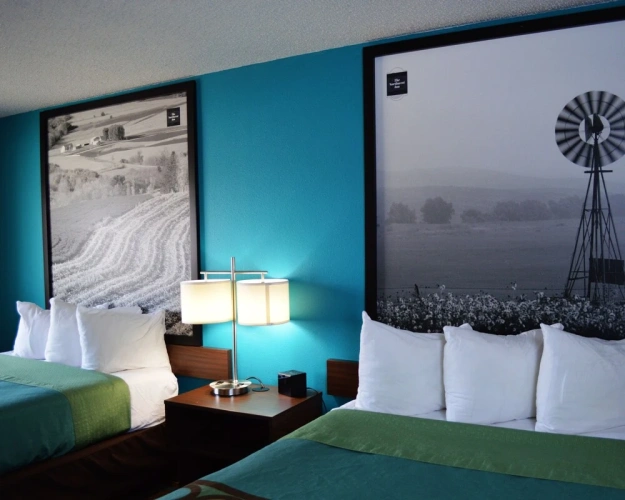 Standard Double room