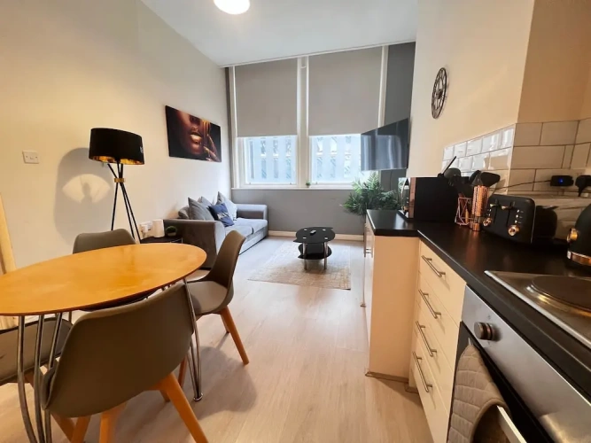Luxury Apartment