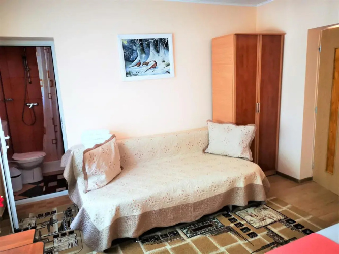 Casa Nelu Pescaru