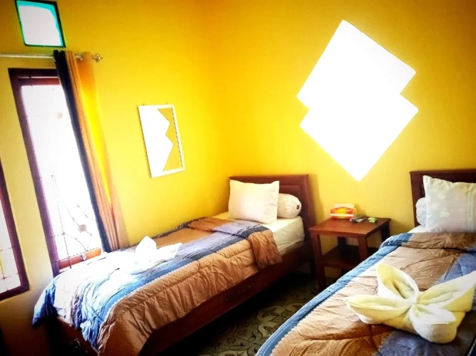 Deluxe Twin room