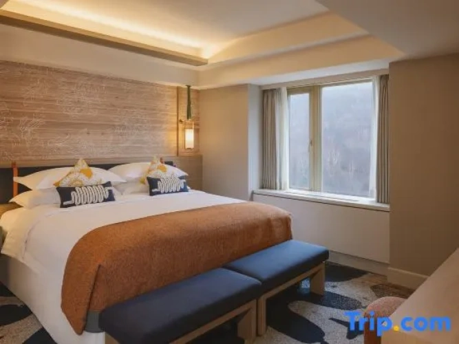Twin Suite