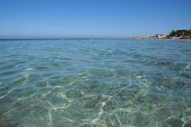 Delfino Beach photo 30