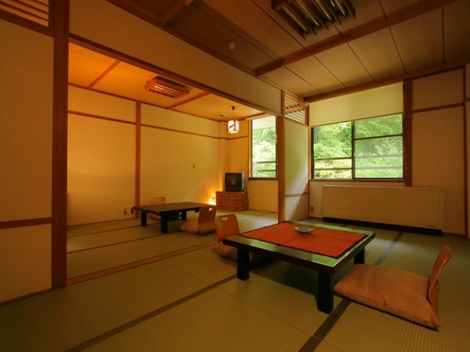 Standard room with river view
