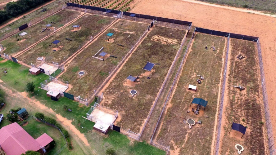 Loebies Guest Farm