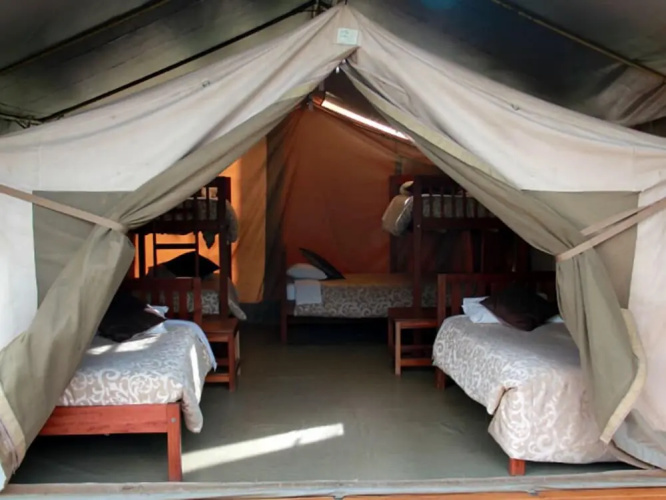 Wildebeest Eco Camp