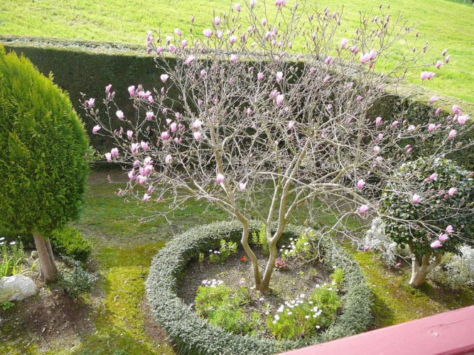 Hotel el Pinar