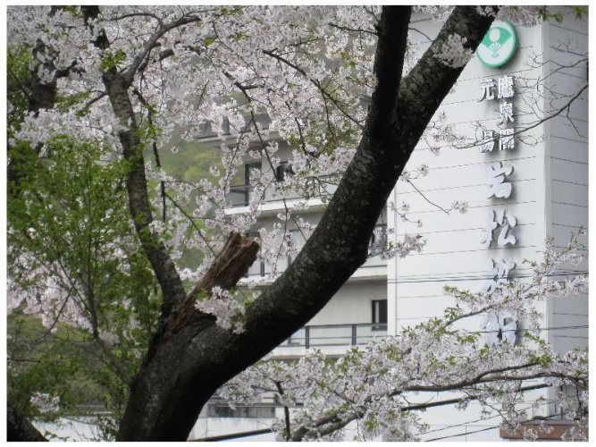 Iwamatsu Ryokan