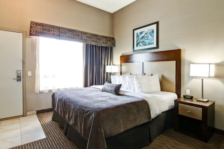 Standard Double Basement room