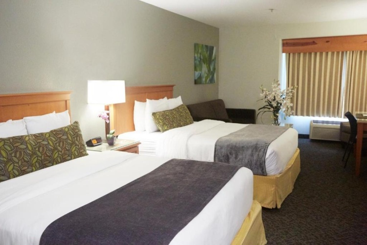 Standard Quadruple room