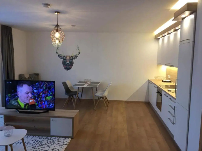 Sonnenhang Studio Apartment