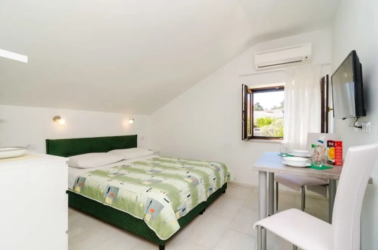 Superior Double Studio with garden view