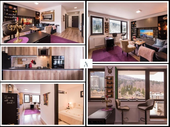 1 Bedroom Apartment