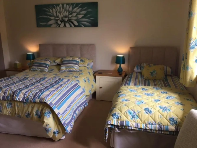 Standard Double room