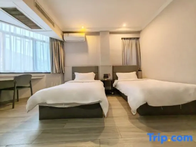 Twin Suite