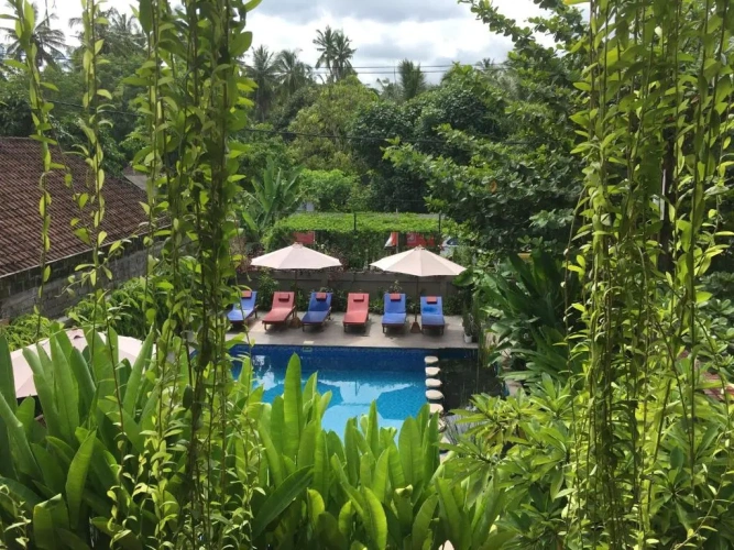 Deluxe Double room with pool view
