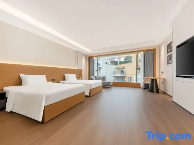 Executive Twin room