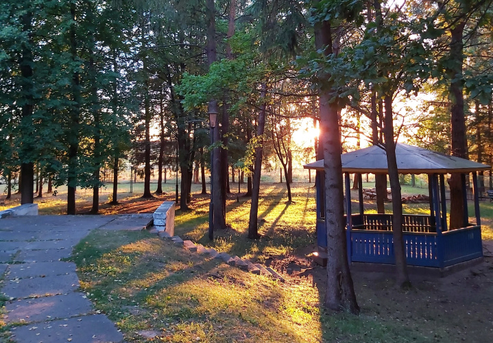 Sosny (Mogilev)