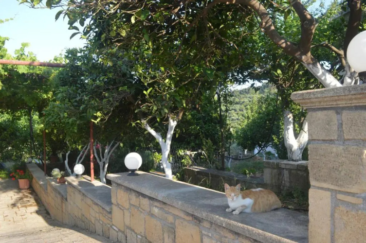 Katerina's Residence