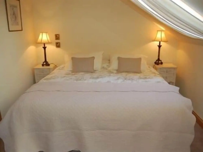 Premium Apartment