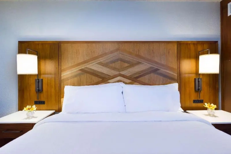 Standard Double room with balcony and with ocean view