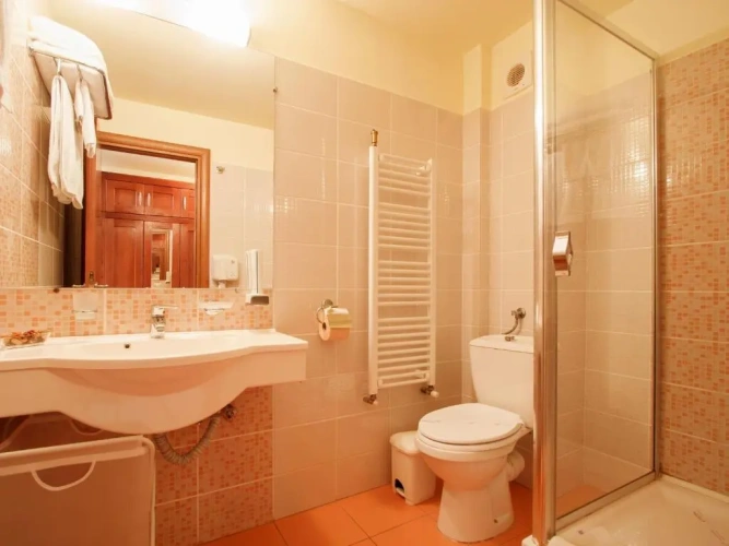 1 Bedroom Suite