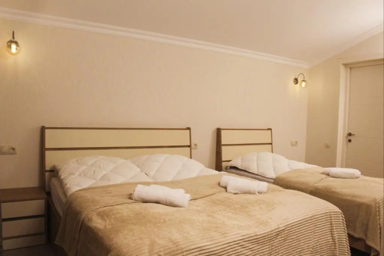 Mountain Villa Didveli