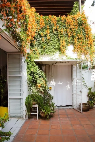 Standard Double room with courtyard view
