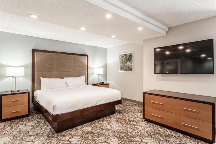 Junior Suite