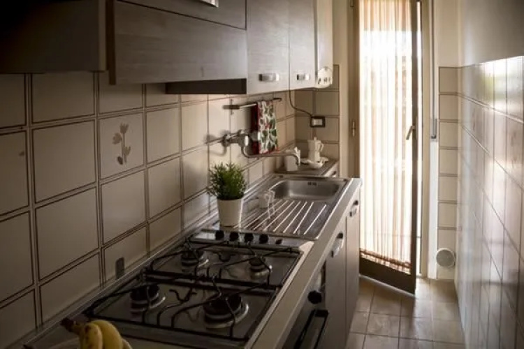 Orsa Maggiore