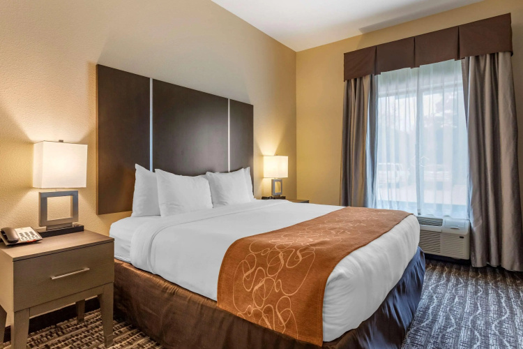 Comfort Suites Near Sam Houston Race Park